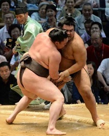 Sumo Wrestling Commentary