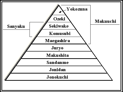 The Structure of Sumo Wrestling